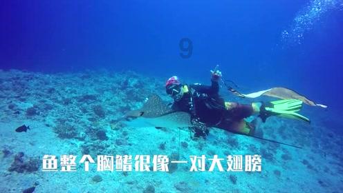 德云社石家庄专场结束,演员晒照引起热议,郭德纲的儿徒是真火
