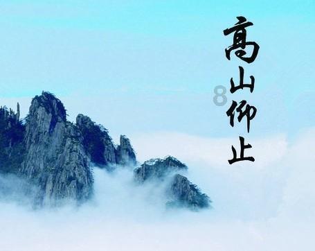 疏港高架拓宽工程一标段东半幅桥梁主体全线完工